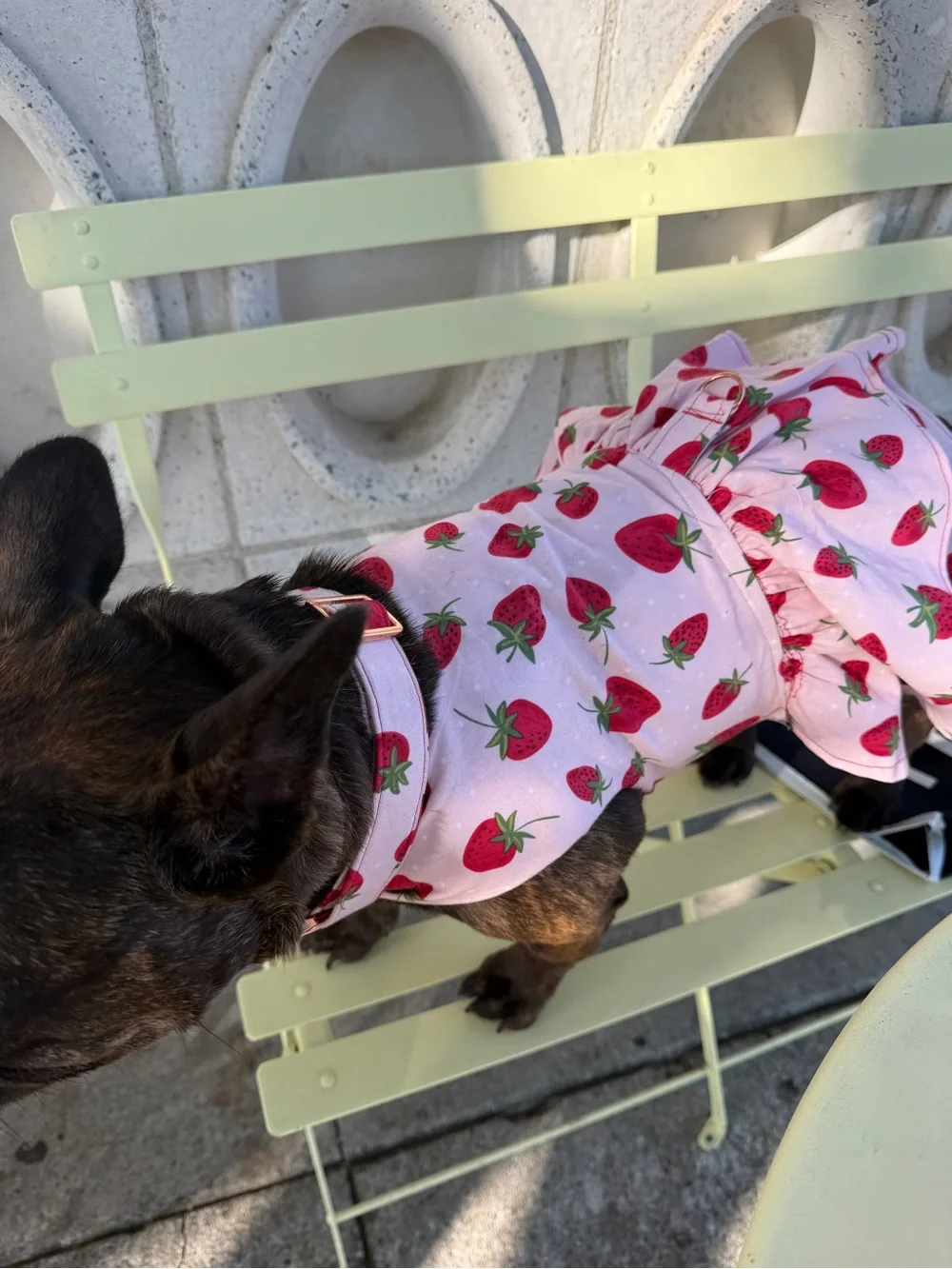 Handmade Strawberry Print Pink Dog Dress